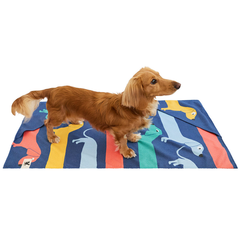 dock and bay towels dog