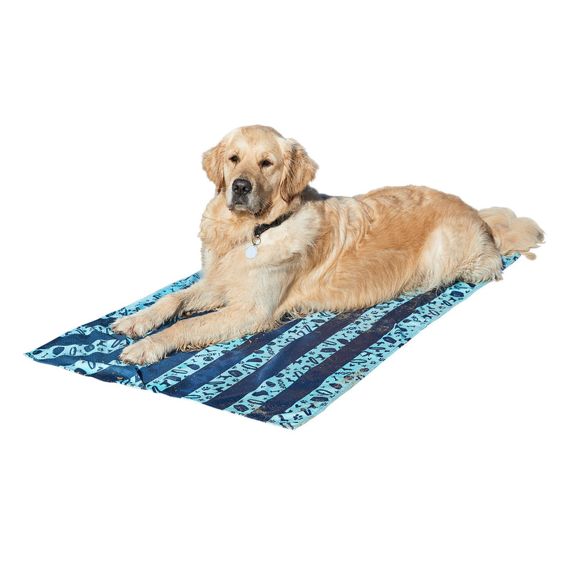 dock and bay towels dog
