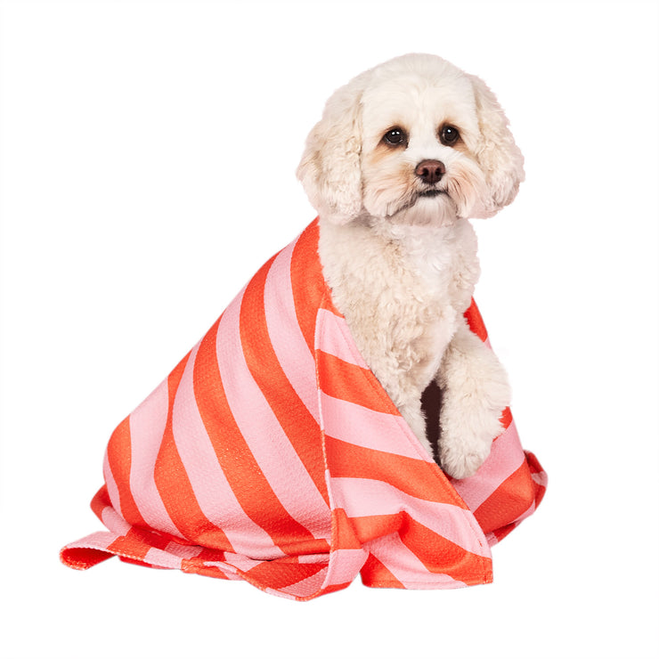 dock and bay towels dog