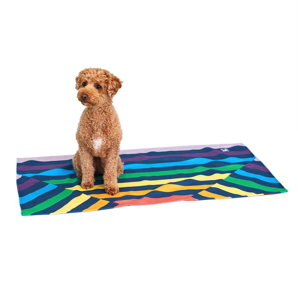 dock and bay towels dog