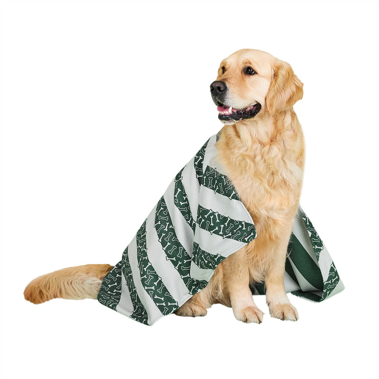 dock and bay towels dog