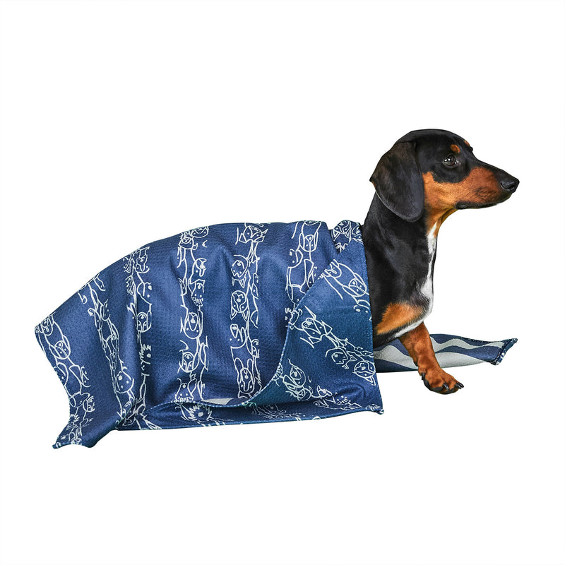 dock and bay towels dog