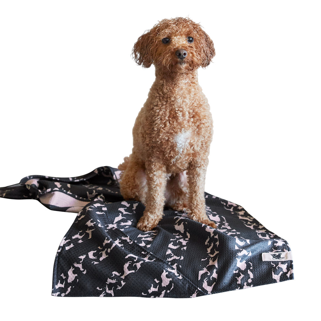 dock and bay towels dog