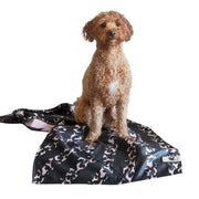 dock and bay towels dog