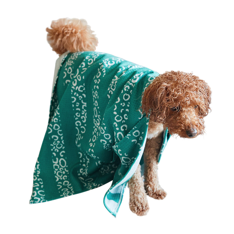 dock and bay towels dog