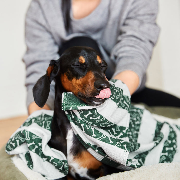 dock and bay towels dog