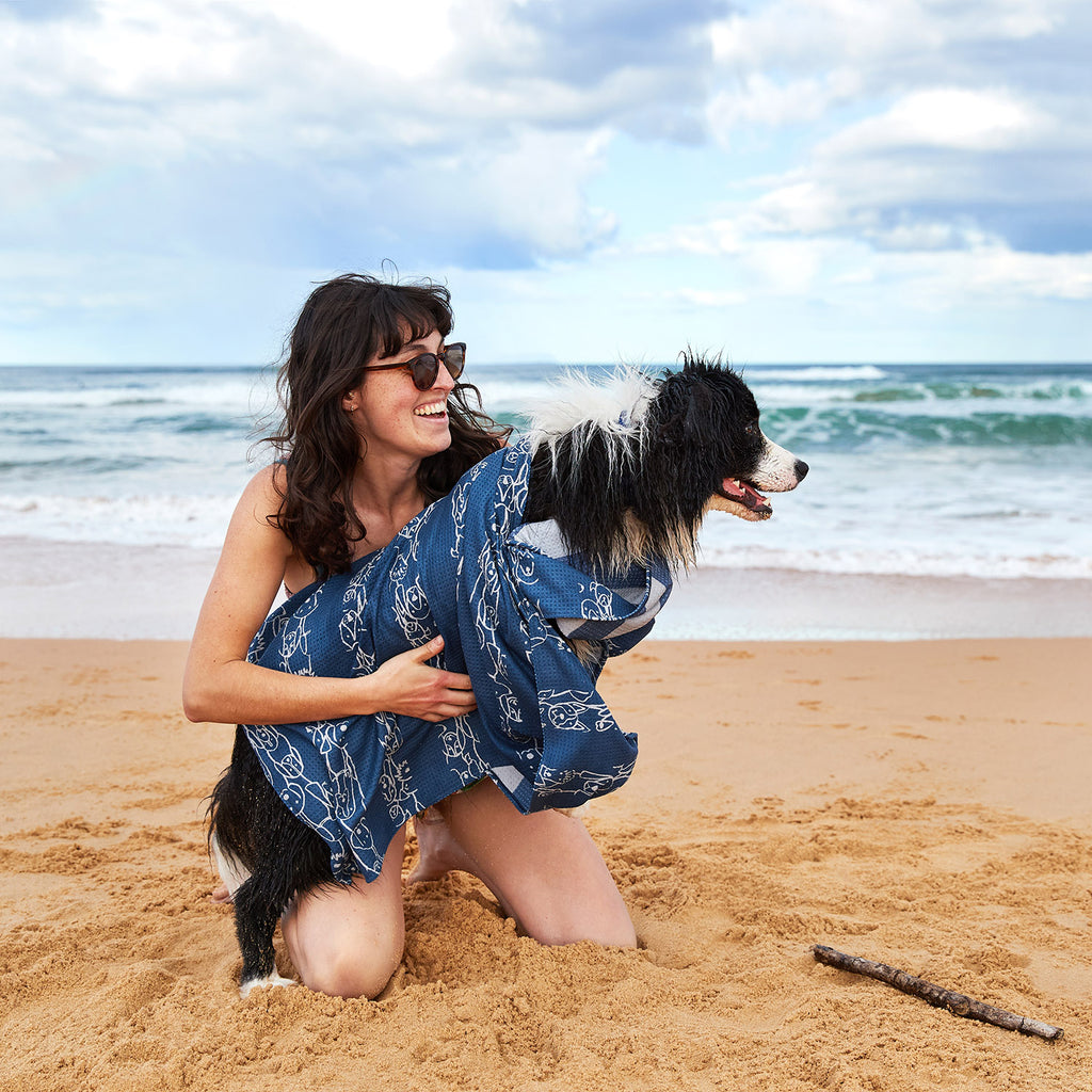 dock and bay towels dog