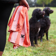 dock and bay towels dog