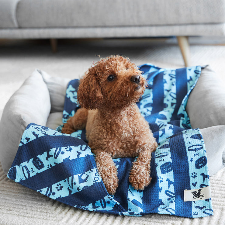 dock and bay towels dog