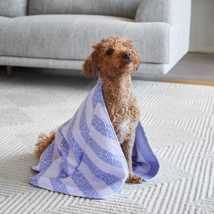 dock and bay towels dog
