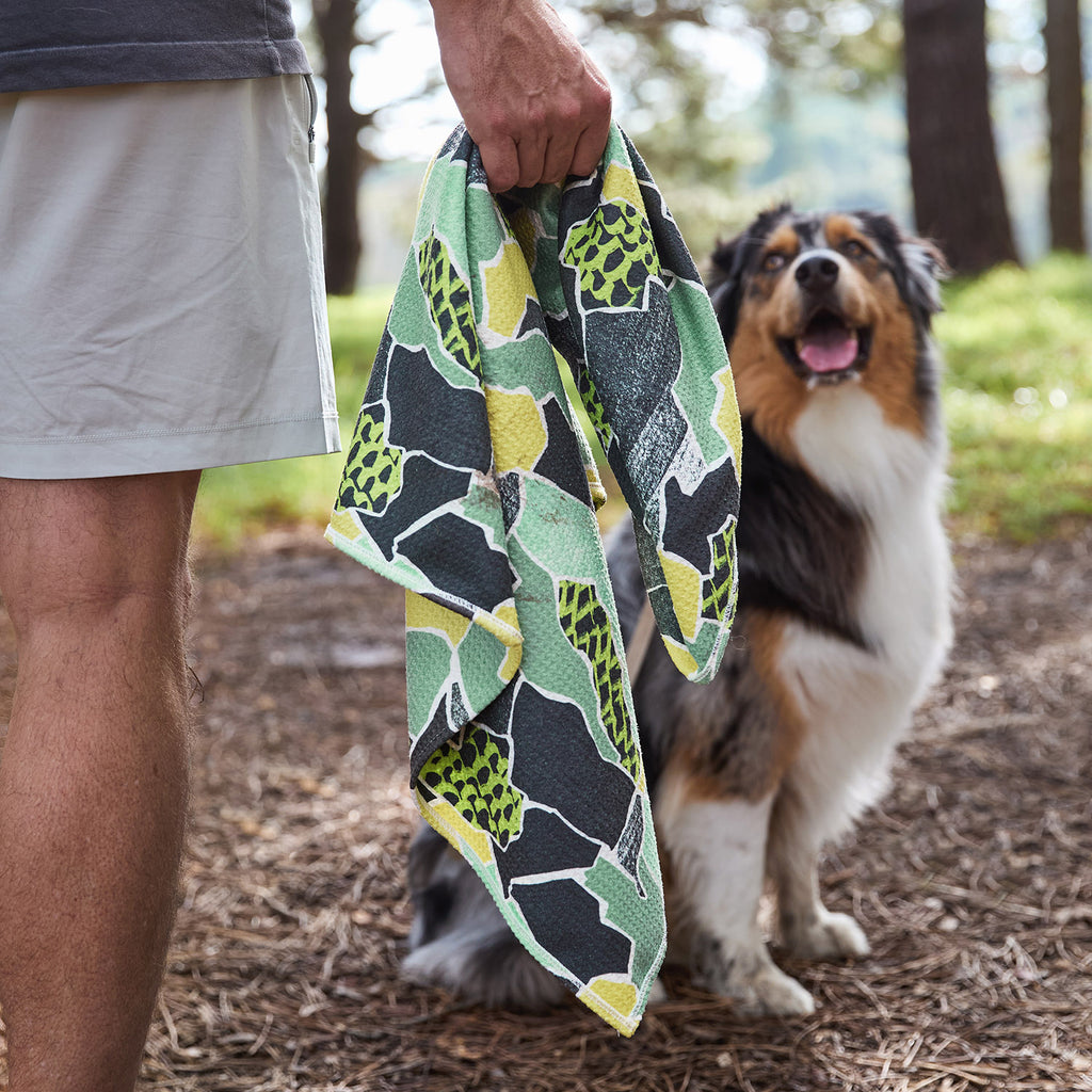 dock and bay towels dog