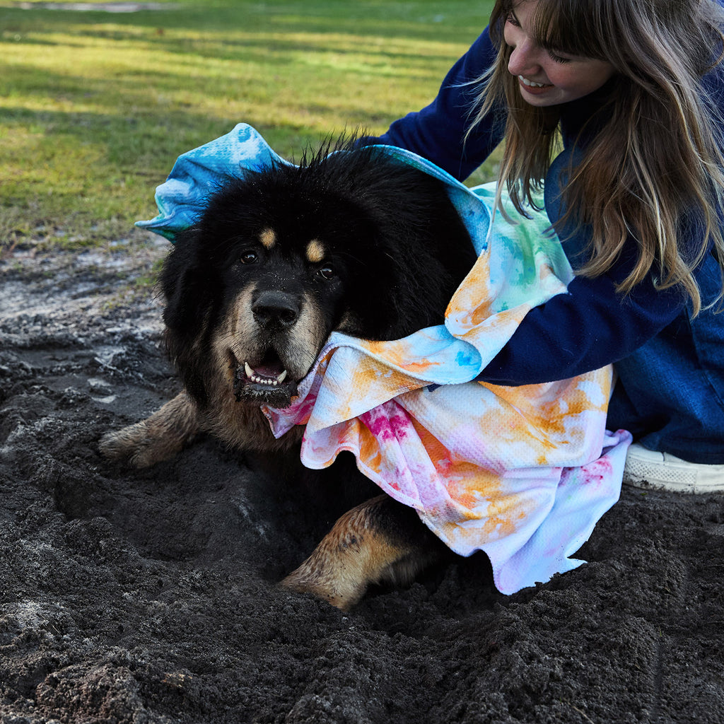 dock and bay towels dog