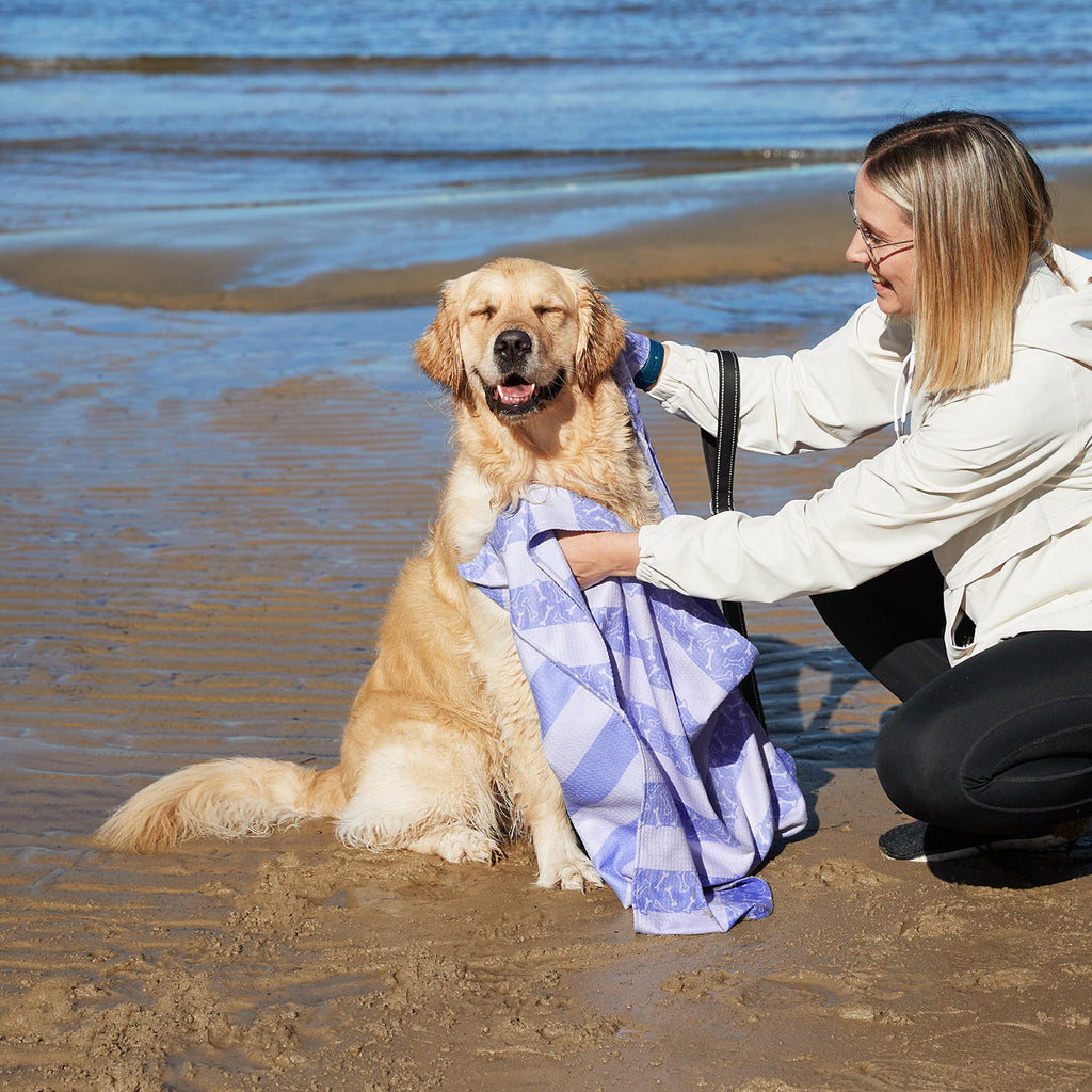dock and bay towels dog