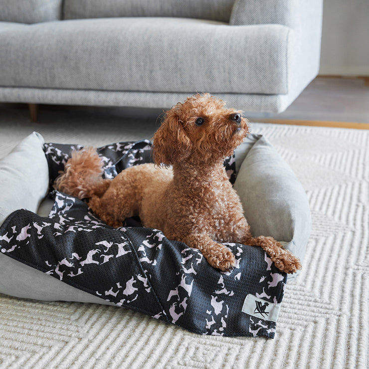 dock and bay towels dog