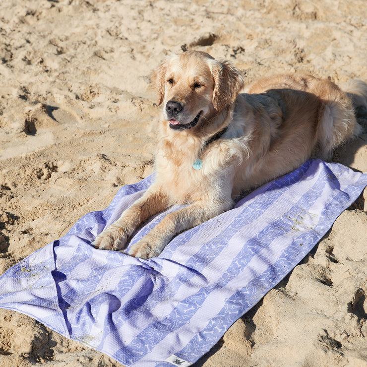 dock and bay towels dog