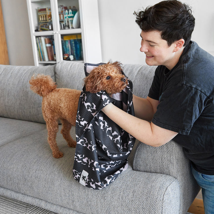 dock and bay towels dog