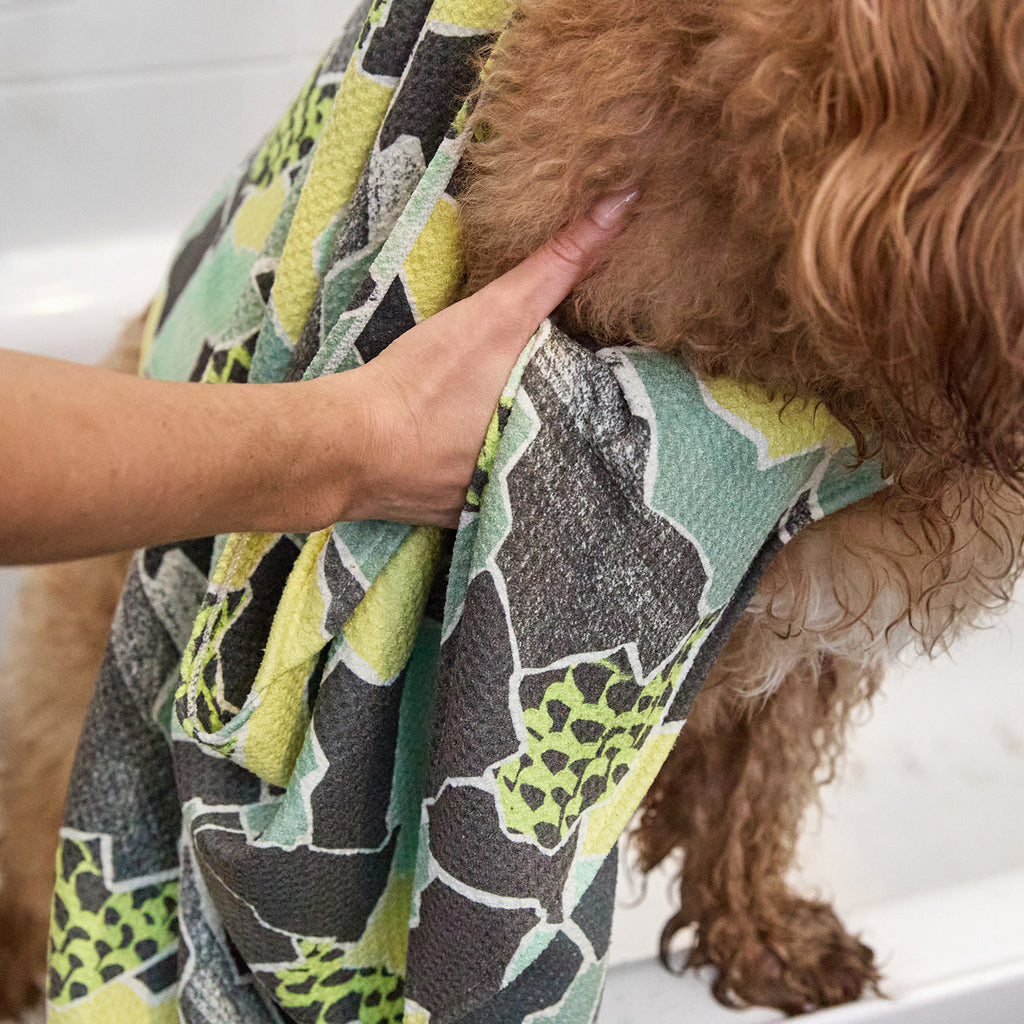 dock and bay towels dog