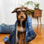 dock and bay towels dog