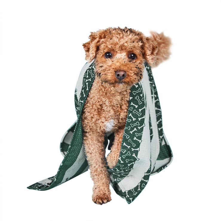 dock and bay towels dog