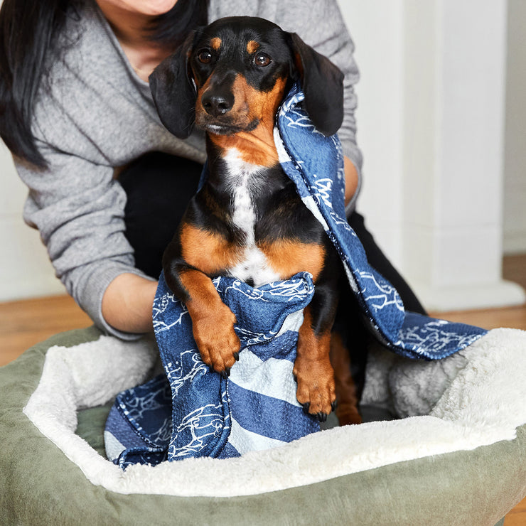 dock and bay towels dog