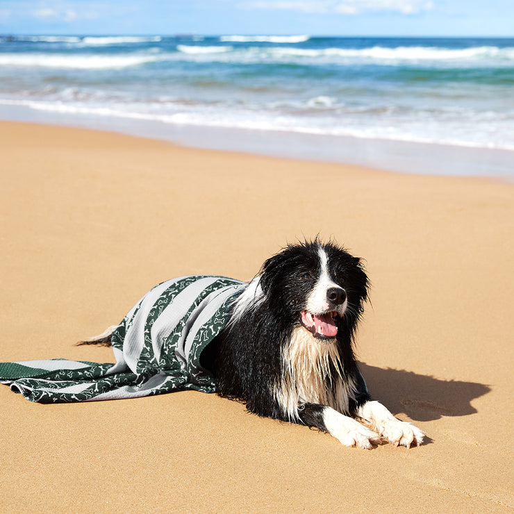 dock and bay towels dog