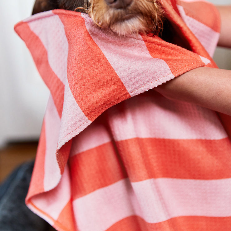 dock and bay towels dog