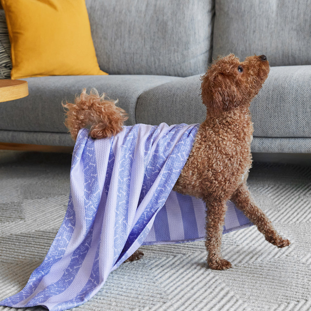 dock and bay towels dog