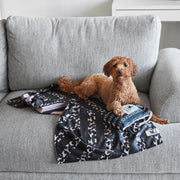dock and bay towels dog