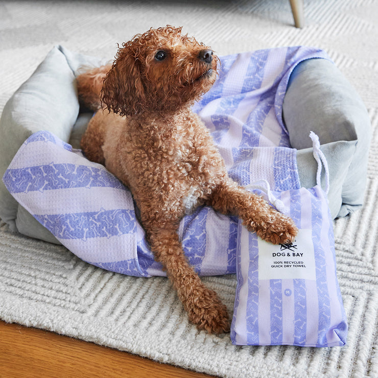 dock and bay towels dog