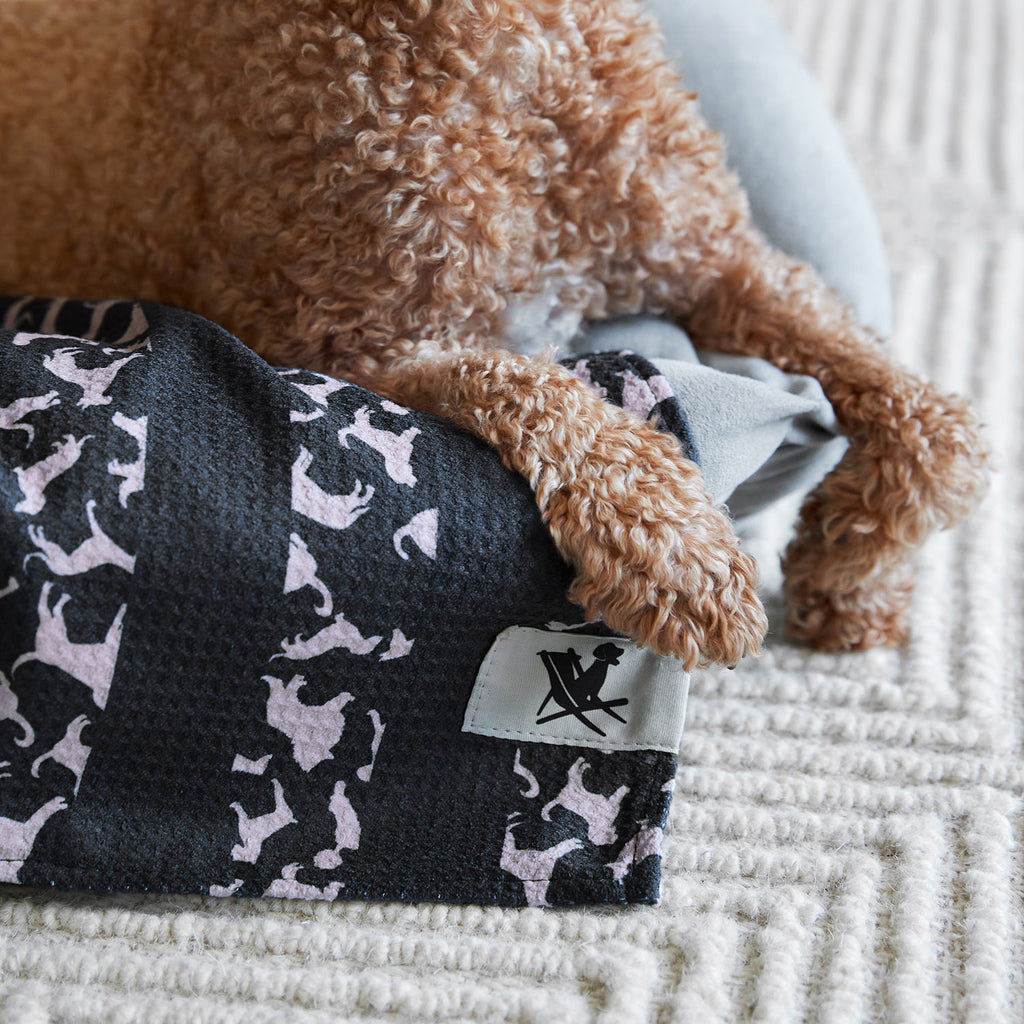 dock and bay towels dog