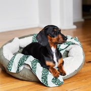 dock and bay towels dog