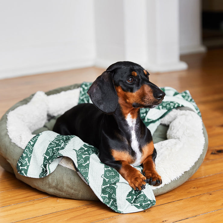 dock and bay towels dog