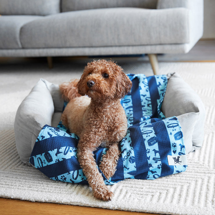 dock and bay towels dog