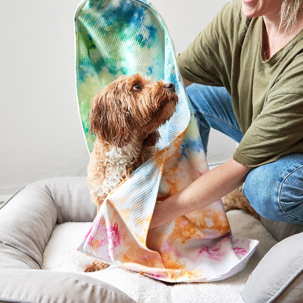 dock and bay towels dog