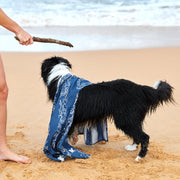 dock and bay towels dog