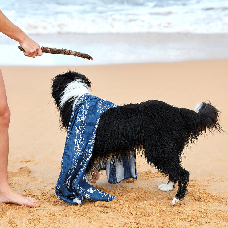 dock and bay towels dog