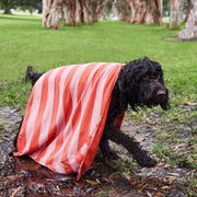 dock and bay towels dog
