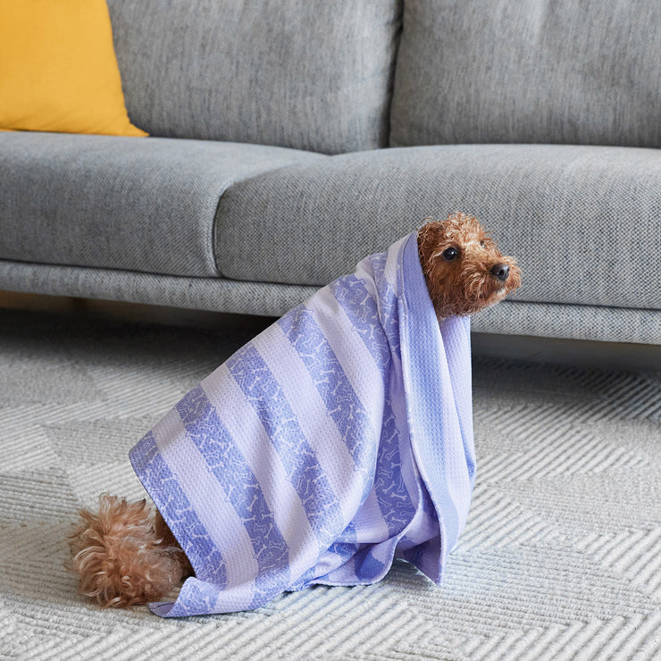 dock and bay towels dog