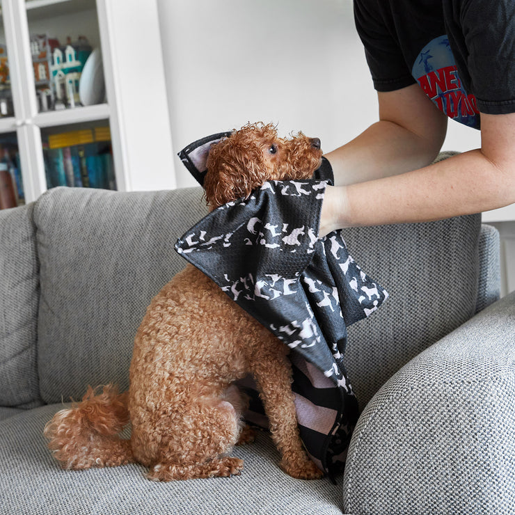 dock and bay towels dog
