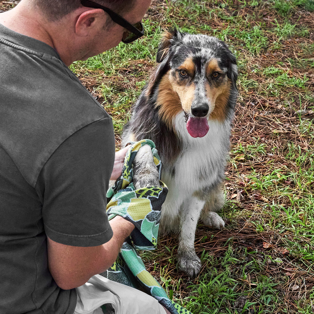 dock and bay towels dog