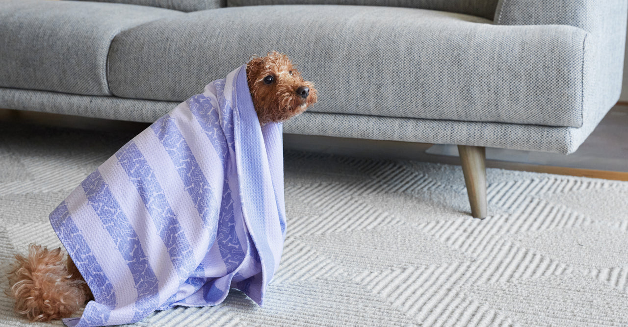 Dock & Bay Dog Towel - Pawfect Purple