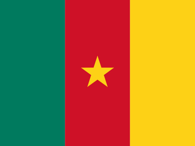 Flag Cameroon