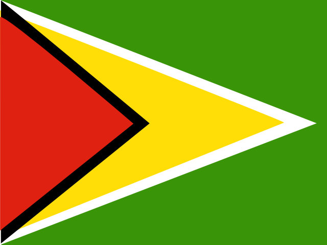 Flag Guyana
